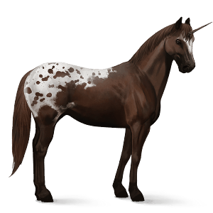 unicórnio de passeio appaloosa manto com pintas castanhas 