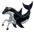 cavalo selvagem orca