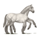 branco sleipnir